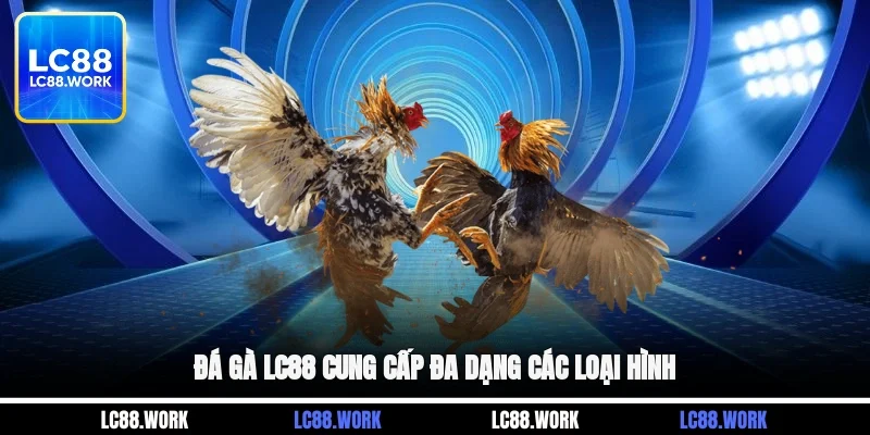 Đá gà LC88 cung cấp đa dạng các loại hình