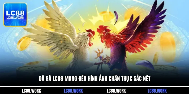 Đá gà LC88 mang đến hình ảnh chân thực sắc nét